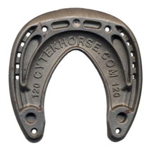 A Cytek Sole support Shoe