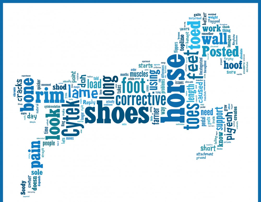 Cytek shoes Revolution